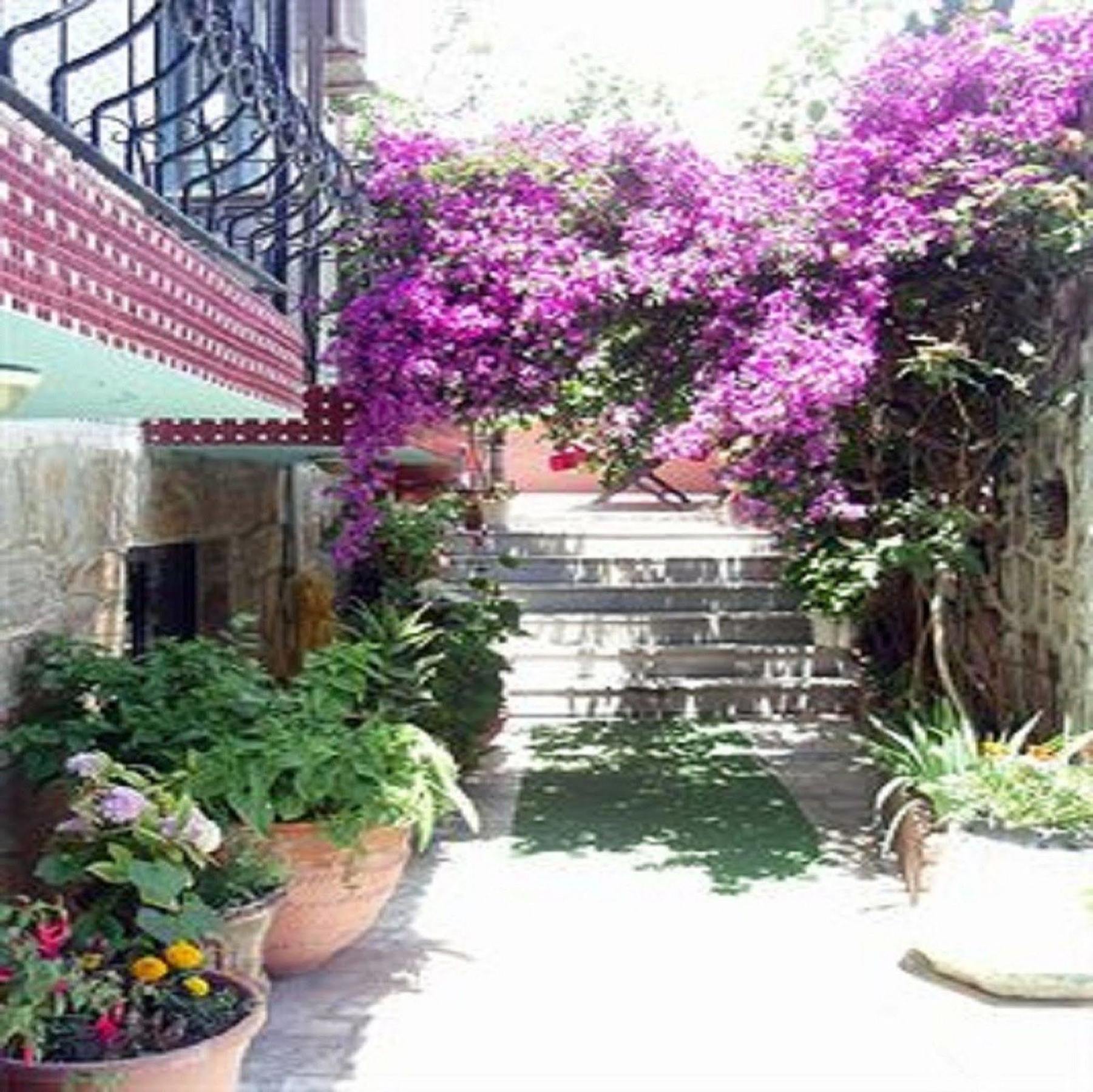 Sezgin Hotel Kusadası Exterior foto